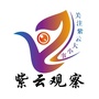 紫云观察ico