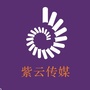 紫云万象公众号ico