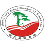 镇江安徽商会ico