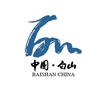 走进白山ico