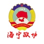 海宁政协ico