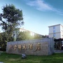 金湖大酒店ico