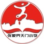张家界天门小学ico