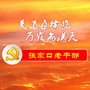 张家口老干部ico