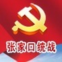 张家口统战ico