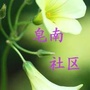 北下关街道皂君庙南路社区ico