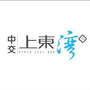 中交上东湾ico