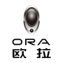周口速晟欧拉新能源ico