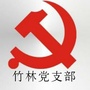 竹林社区党支部ico