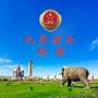 扎赉诺尔检察ico