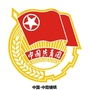 中路铺镇团委ico