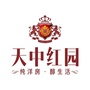 天中红园ico