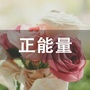 正能量相册ico