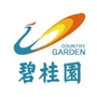 碧桂园在漳州ico