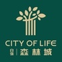 自强天空森林城ico