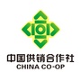 肇庆供销ico