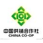 河北枣强供销ico