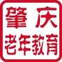 肇庆老年教育ico