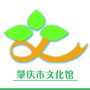 肇庆市文化馆ico