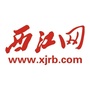 肇庆西江网ico