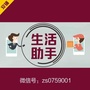 湛江助手公众号ico