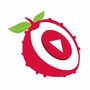 掌上荔城ico