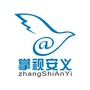 掌视安义ico