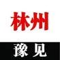 豫见林州ico