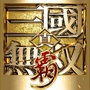 真三国无双霸手游公众号ico
