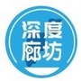 深度廊坊ico