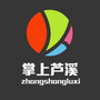 掌上芦溪公众号ico