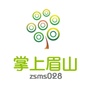 掌上眉山公众号ico