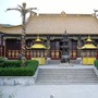 舟山市九龙禅寺公众号ico