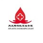 再生障碍性贫血专家公众号ico