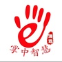 掌中智慧清远ico