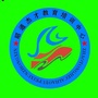 昭通公考ico