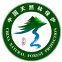 中条林局皋落林场ico