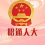 昭通人大ico