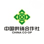 昭通市供销社ico