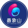最象山ico