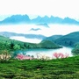 醉美云雾ico
