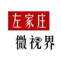 左家庄微视界ico