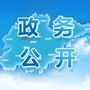 政务公开看山东ico
