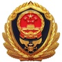 中卫消防ico