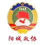 阳城政协ico