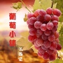 张西堡微话题ico