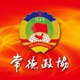 常德政协ico