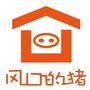 中新生态城楼市公众号ico