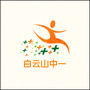白云山中一健康直通车ico
