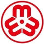 汇川区妇女联合会ico